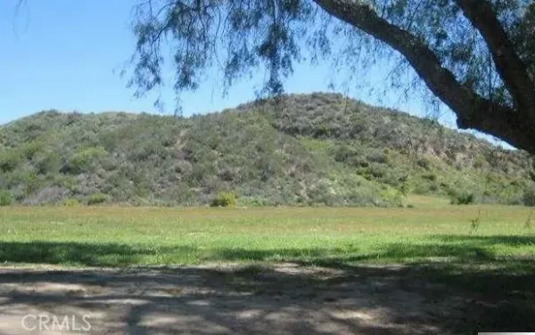 a view of a field with an trees
