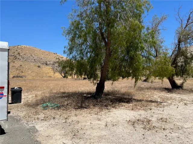 a view of a yard with a tree