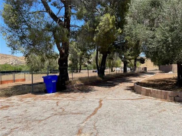 a street view with large trees