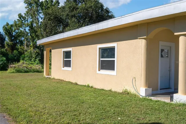 a view of a backyard with plants and large tree