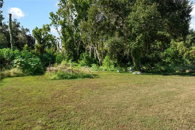 a view of a field with trees