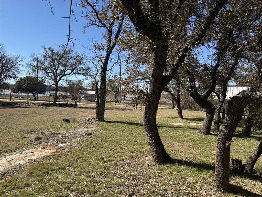 Tbd Bounding Main Drive May, TX 76857 - Photo 2 of 8 a view of a yard with a tree