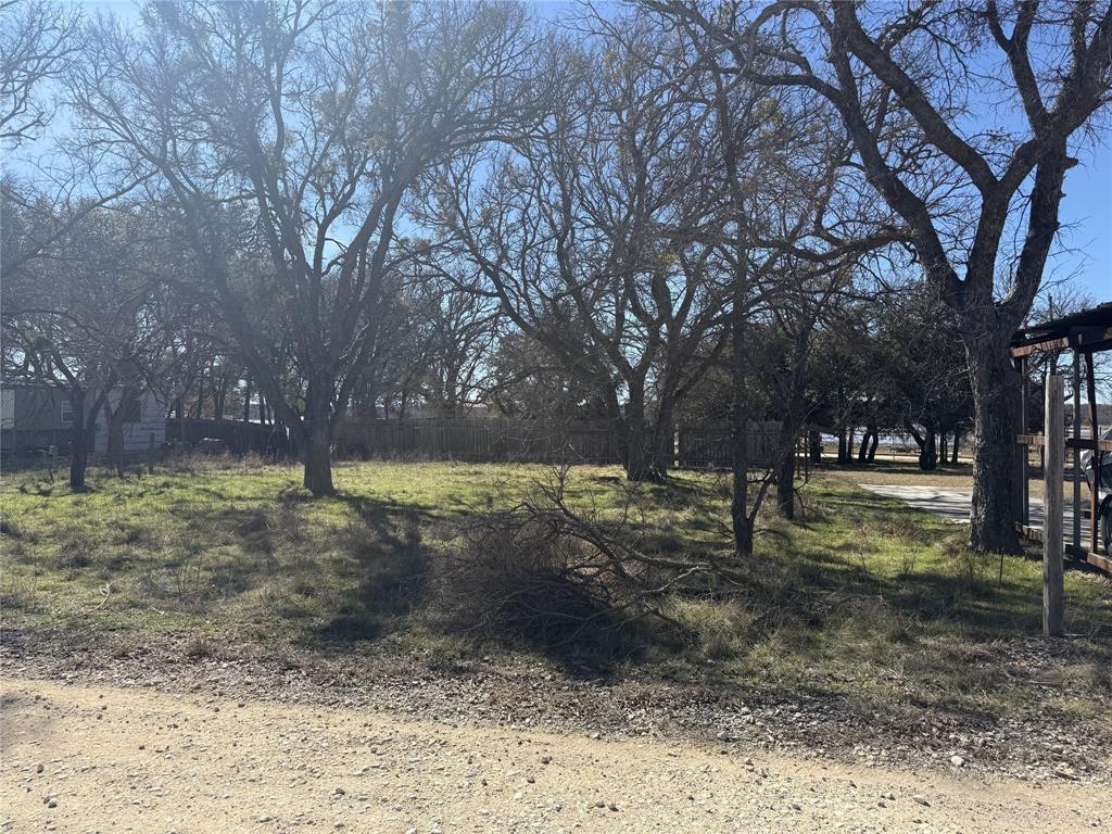 Tbd Bounding Main Drive May, TX 76857 - Photo 4 of 8 a view of a yard with a tree