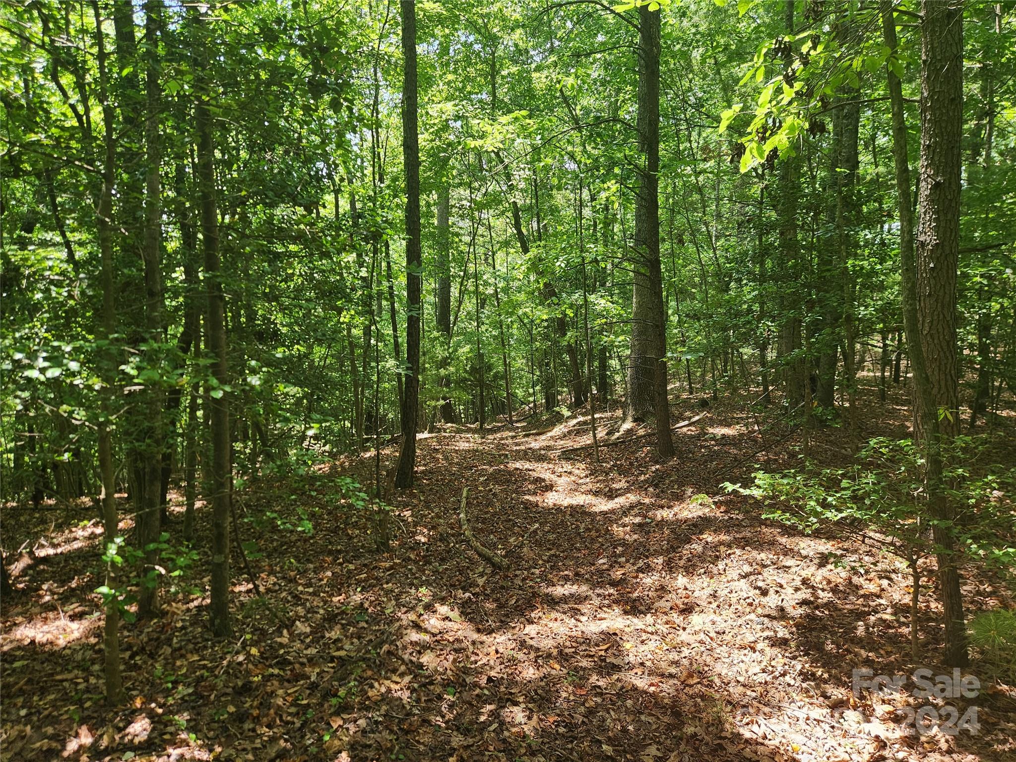 1318 Draco Road Lenoir, NC 28645 - Photo 15 of 32 Gallery Image 15