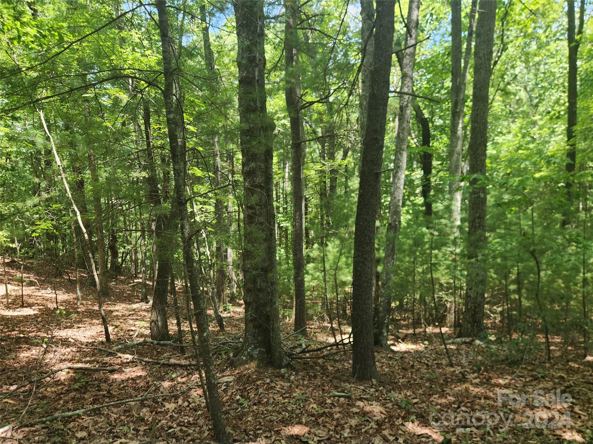 1318 Draco Road Lenoir, NC 28645 - Photo 16 of 32 Gallery Image 16
