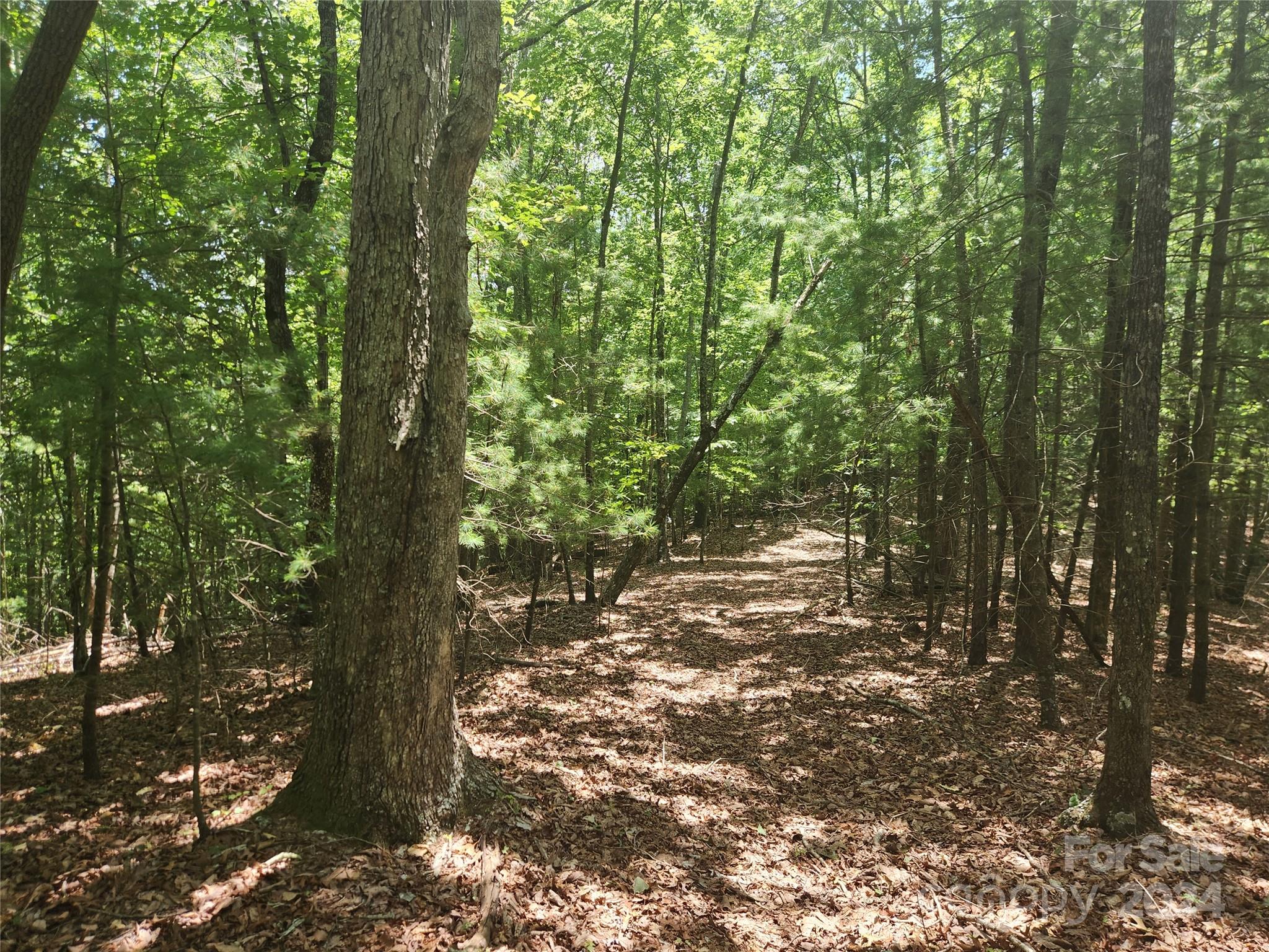 1318 Draco Road Lenoir, NC 28645 - Photo 17 of 32 Gallery Image 17