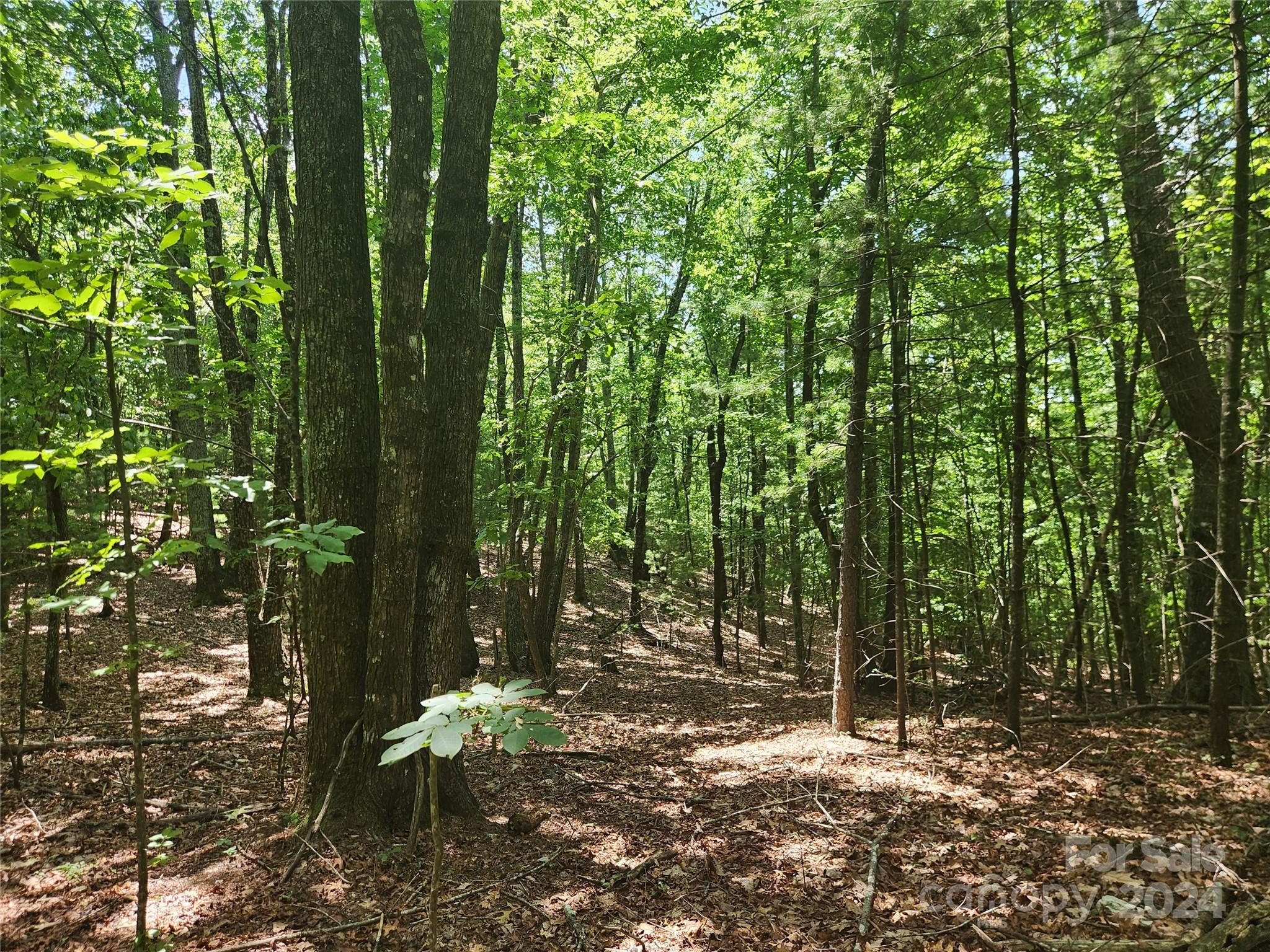 1318 Draco Road Lenoir, NC 28645 - Photo 18 of 32 Gallery Image 18