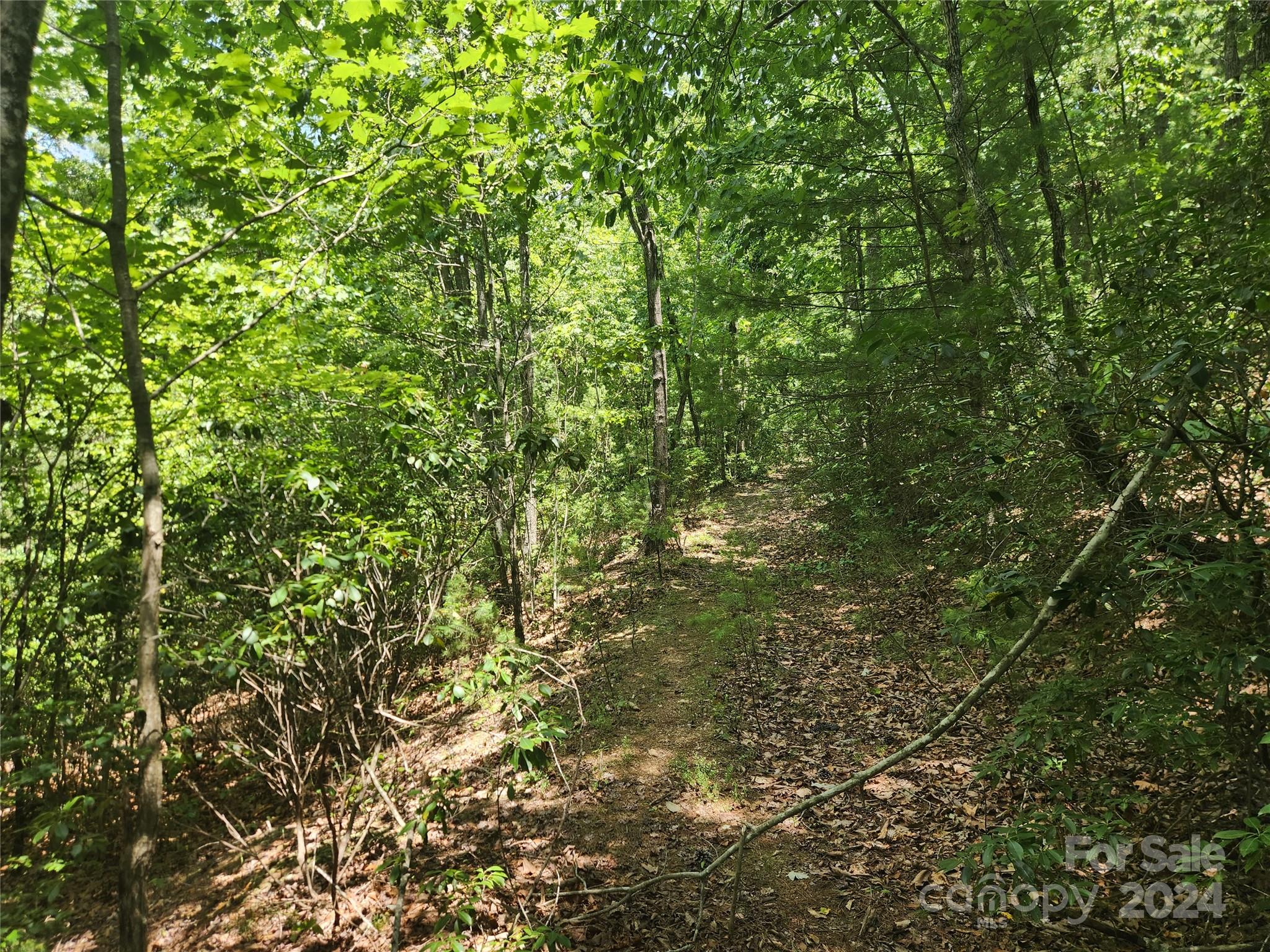 1318 Draco Road Lenoir, NC 28645 - Photo 19 of 32 Gallery Image 19