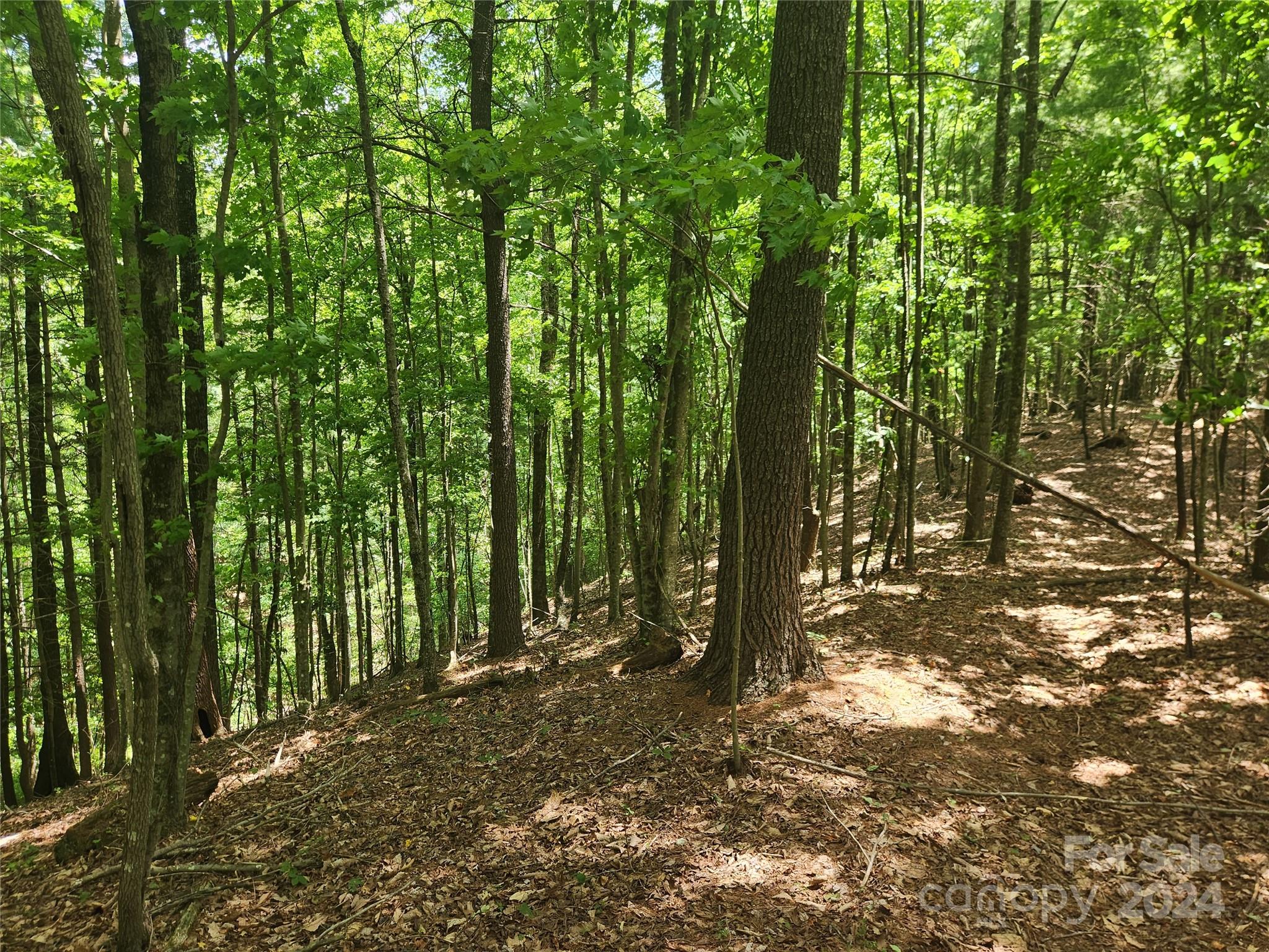 1318 Draco Road Lenoir, NC 28645 - Photo 20 of 32 Gallery Image 20
