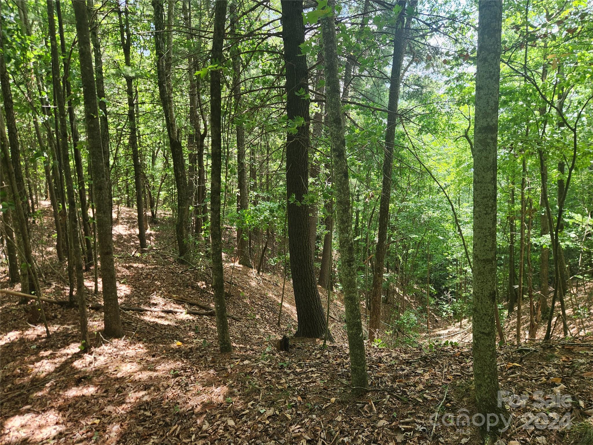 1318 Draco Road Lenoir, NC 28645 - Photo 21 of 32 Gallery Image 21