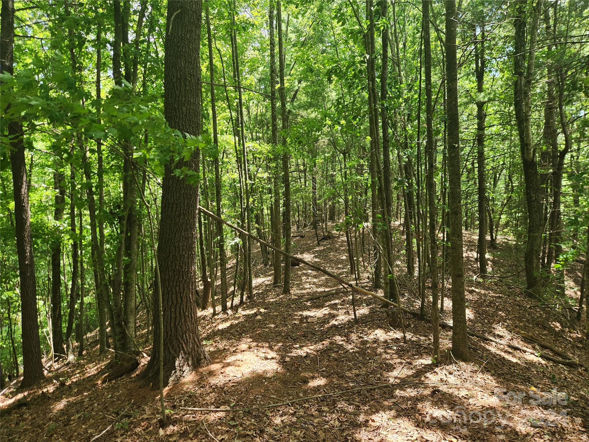 1318 Draco Road Lenoir, NC 28645 - Photo 22 of 32 Gallery Image 22