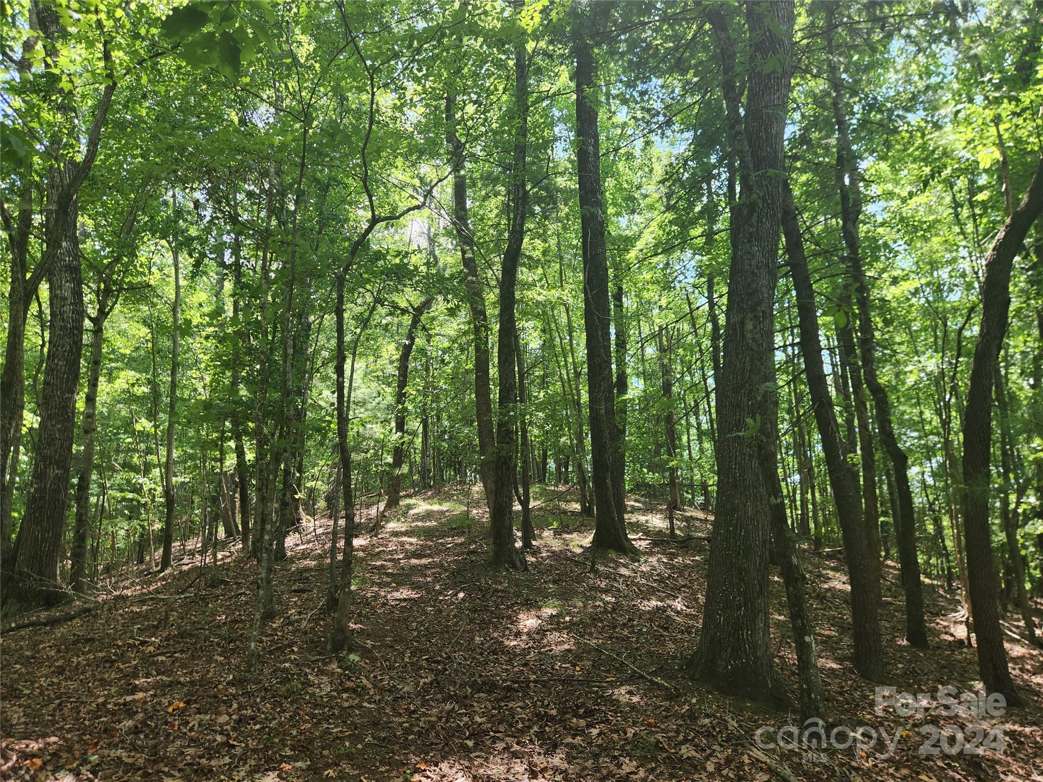 1318 Draco Road Lenoir, NC 28645 - Photo 23 of 32 Gallery Image 23