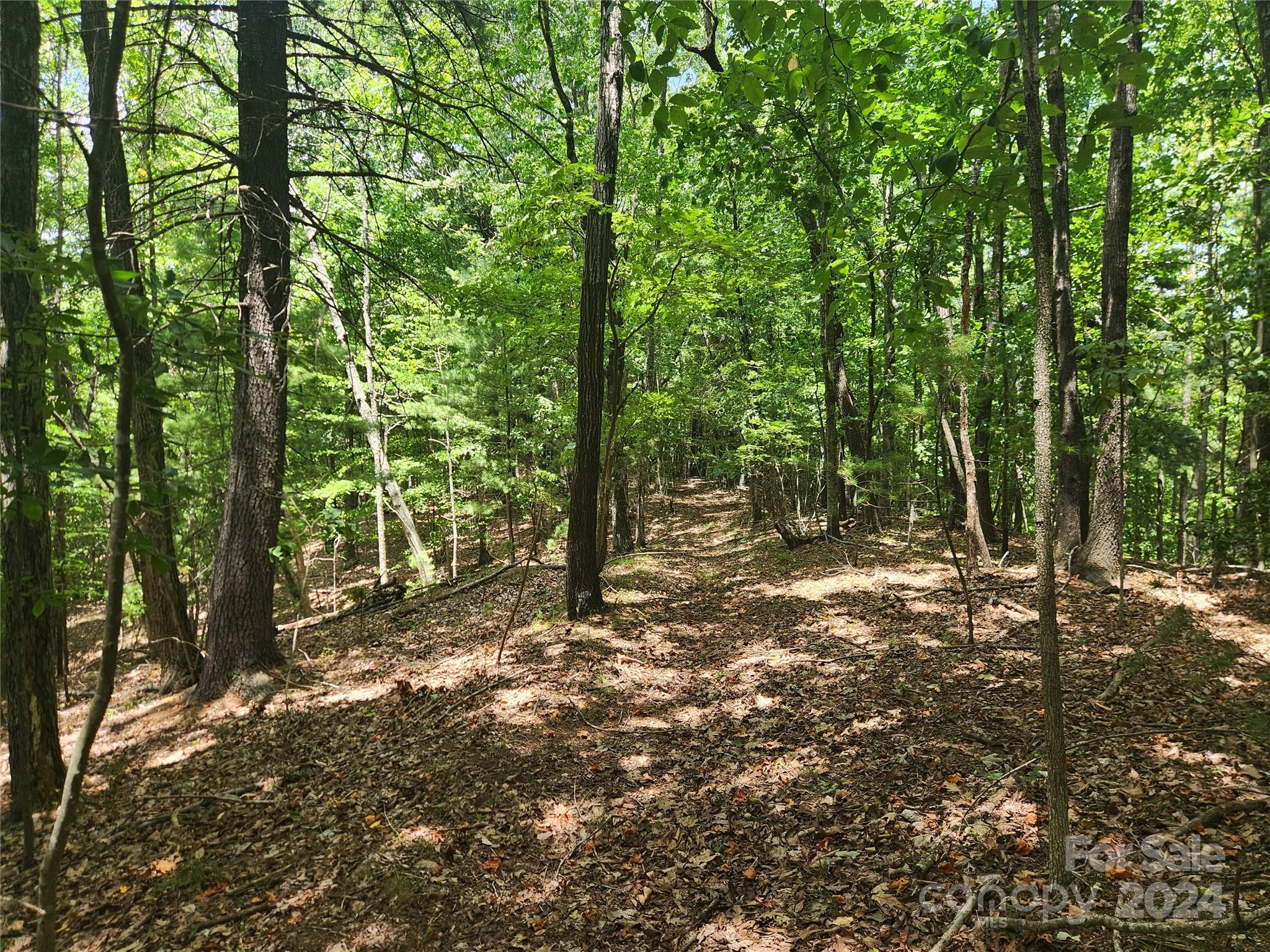 1318 Draco Road Lenoir, NC 28645 - Photo 24 of 32 Gallery Image 24