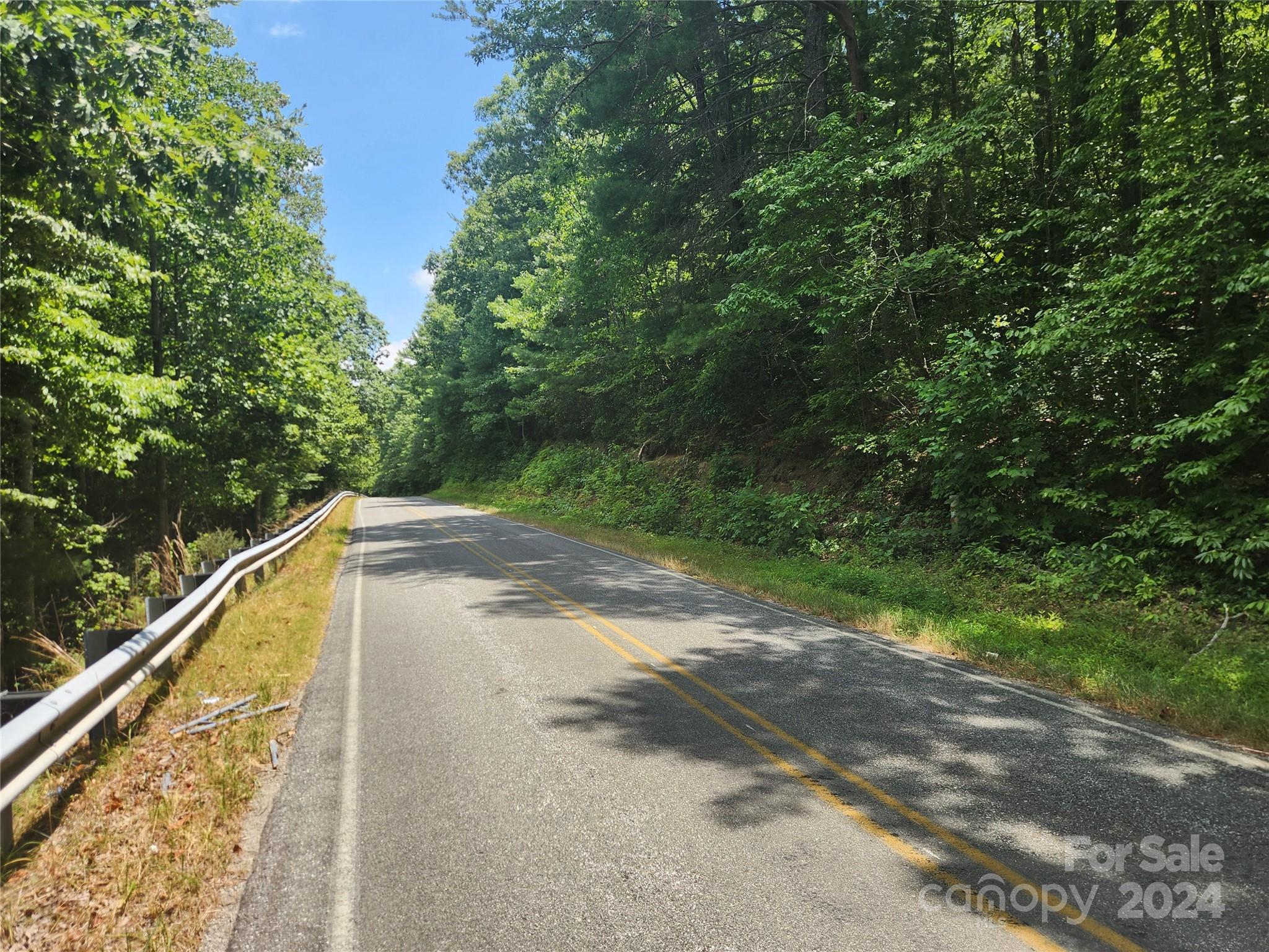 1318 Draco Road Lenoir, NC 28645 - Photo 3 of 32 Gallery Image 3