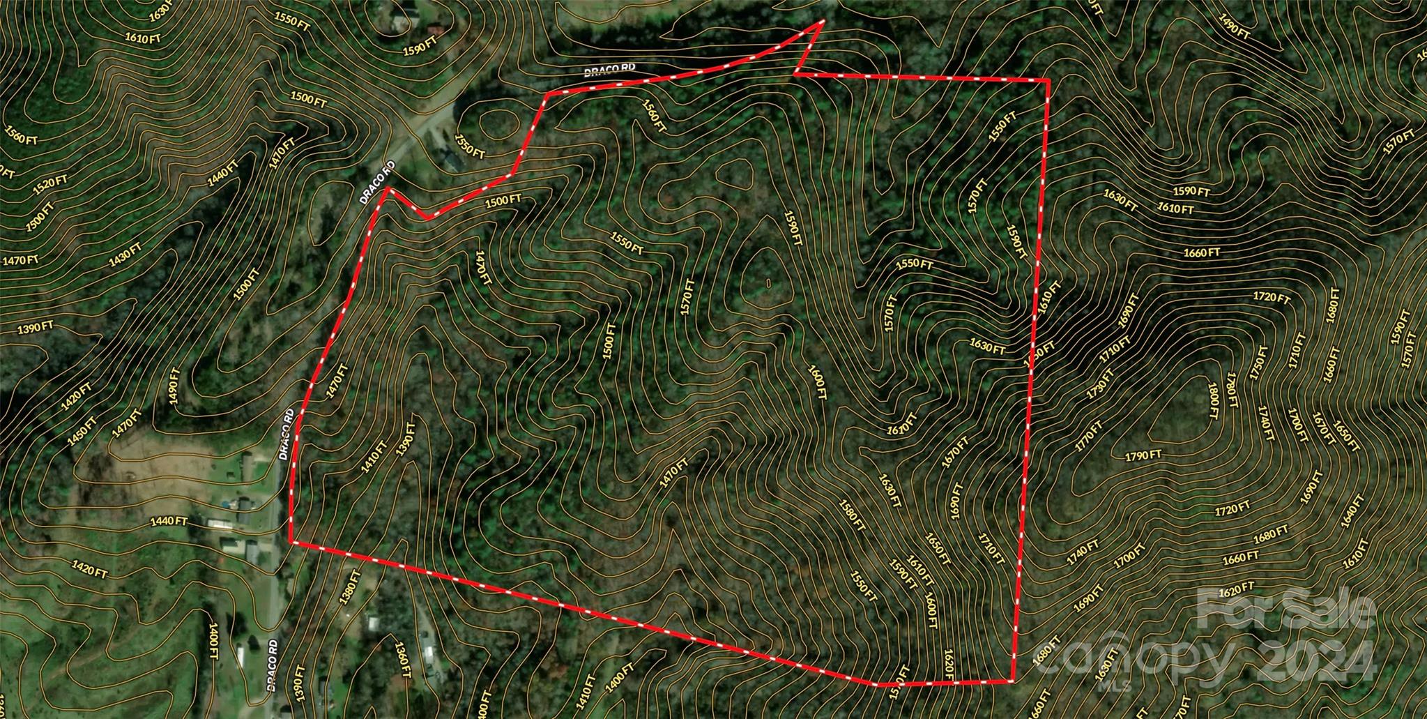 1318 Draco Road Lenoir, NC 28645 - Photo 8 of 32 Gallery Image 8