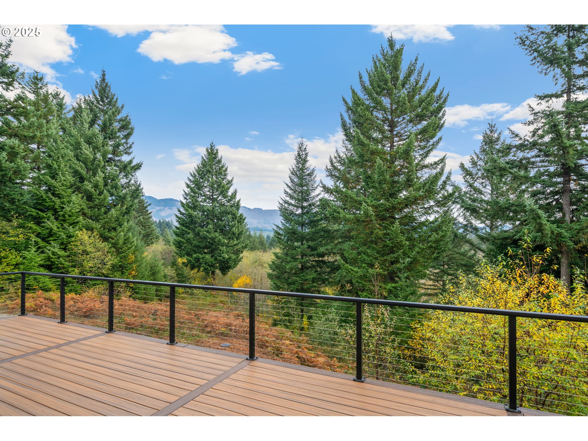 7311 Northeast 317th Place Camas, WA 98607 - Photo 17 of 48 Deck