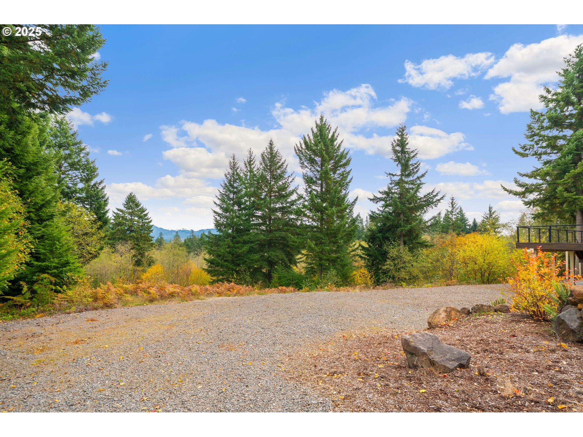 7311 Northeast 317th Place Camas, WA 98607 - Photo 44 of 48 Yard