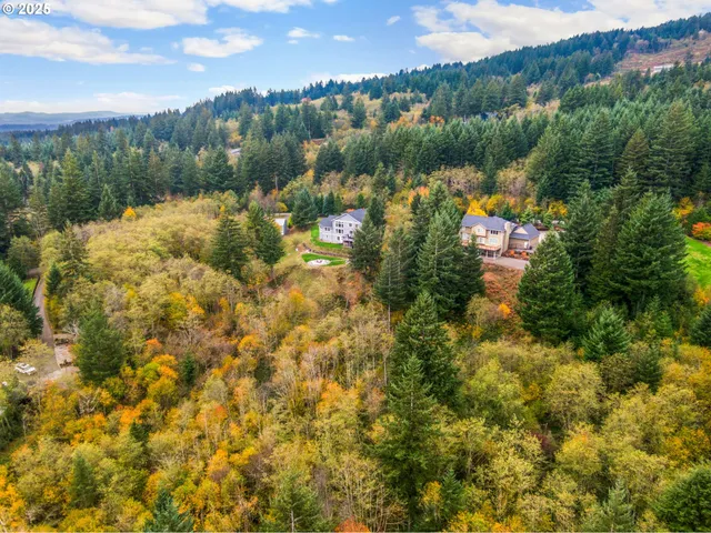 a view of a lake with a city