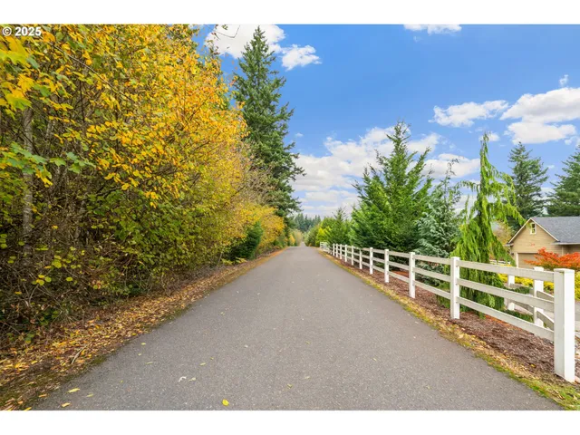 a view of a yard and mountain