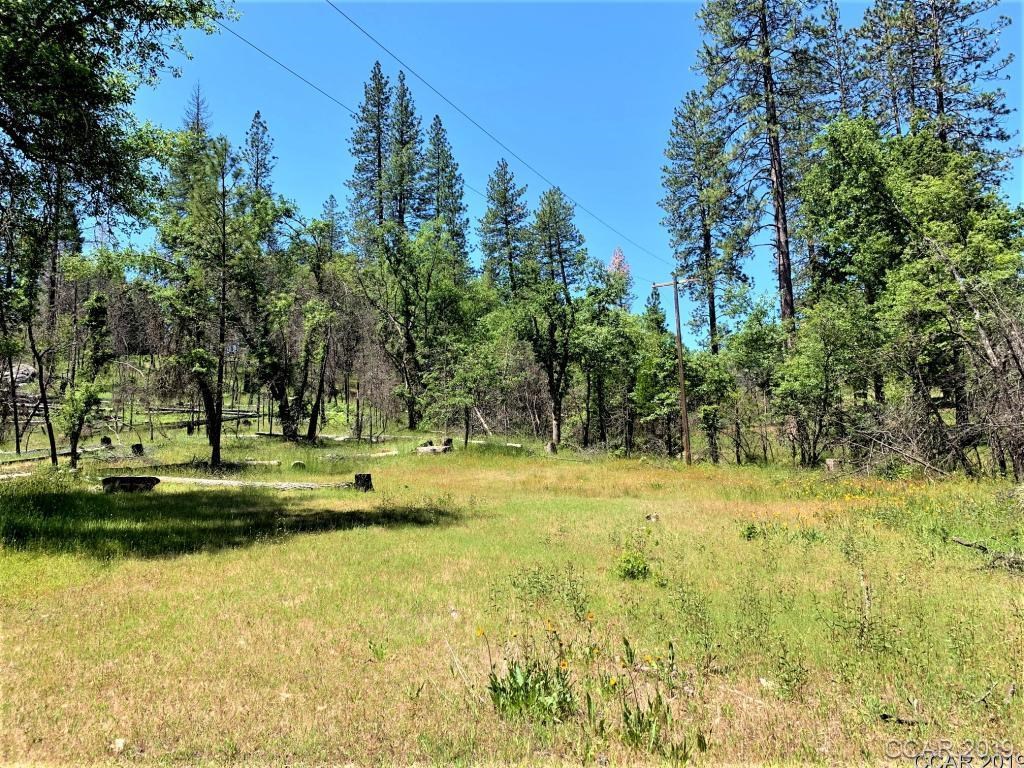 22708 West Point Pioneer Road West Point, CA 95255 - Photo 1 of 1 a view of a yard with swimming pool