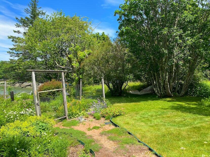111 Old Bar Harbor Road Bar Harbor, ME 04609 - Photo 49 of 74 111 Old BH Rd Landscape4