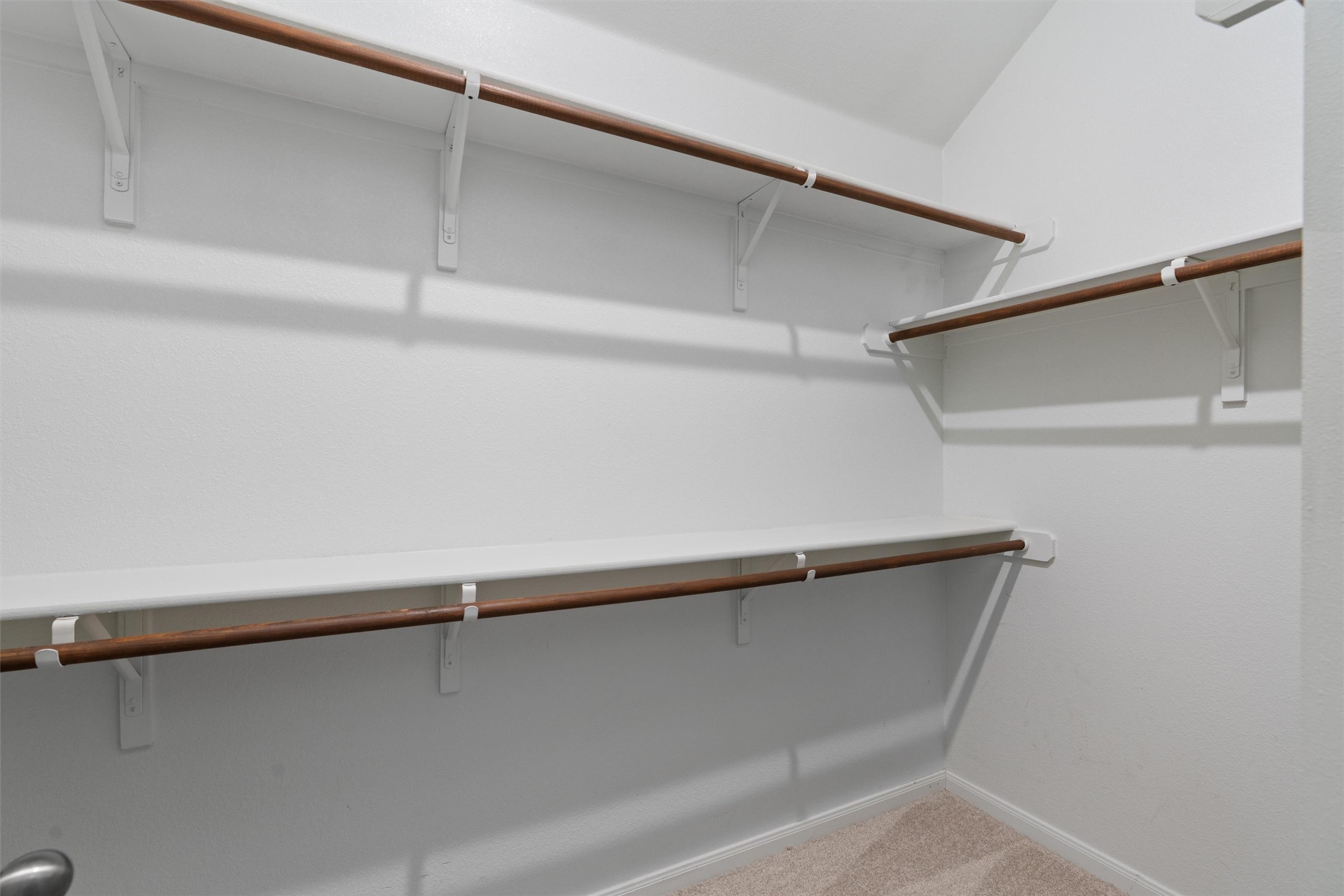 407 Red Hawk Drive Leander, TX 78641 - Photo 21 of 34 a close view of closet