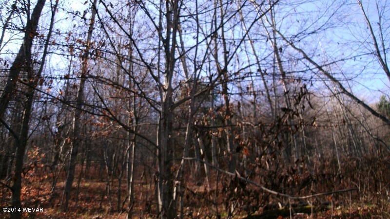 694 Jander Run Road Shinglehouse, PA 16748 - Photo 2 of 9 121777-02