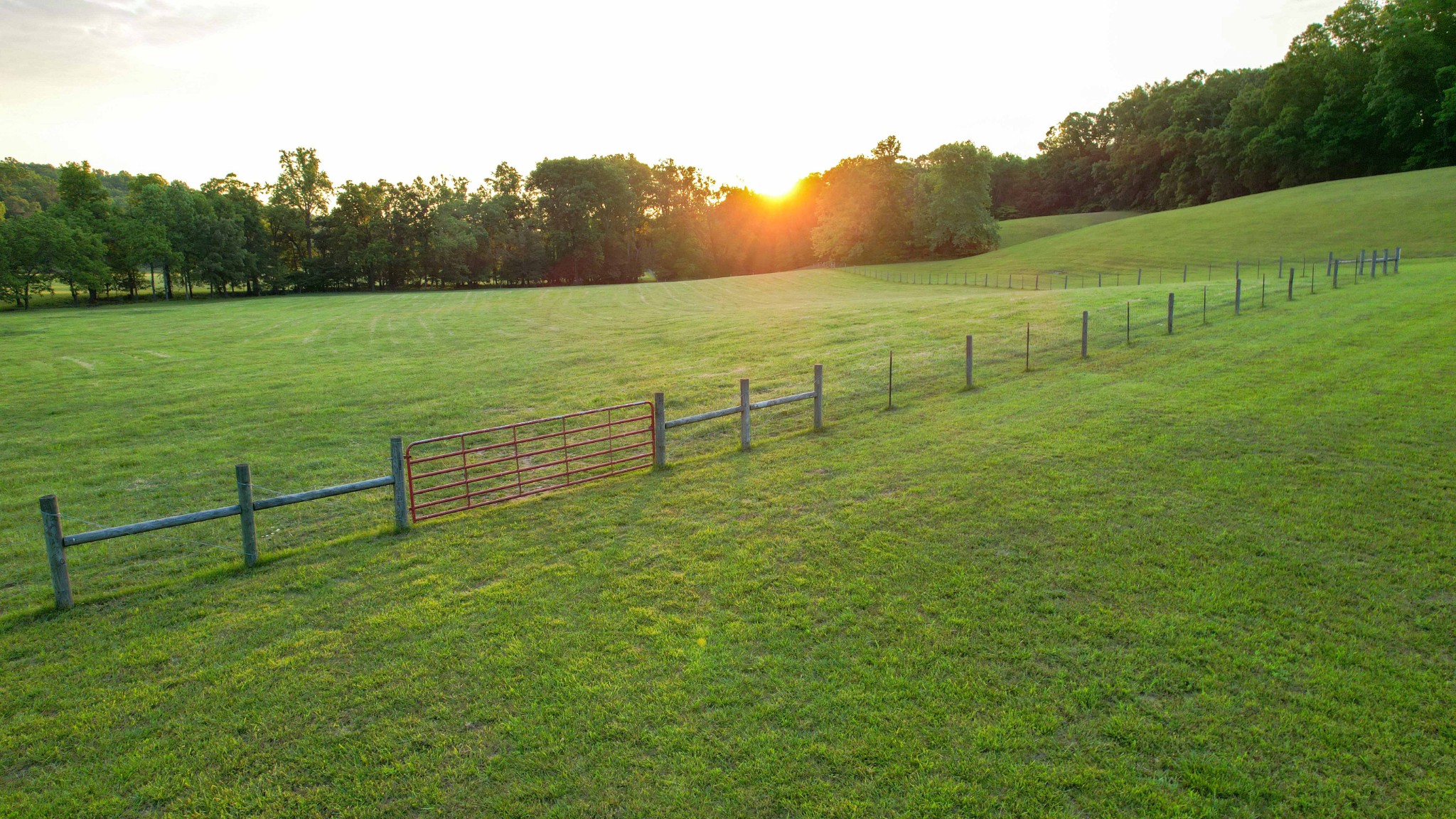 1267 Wades Branch Road Centerville, TN 37033 - Photo 3 of 73