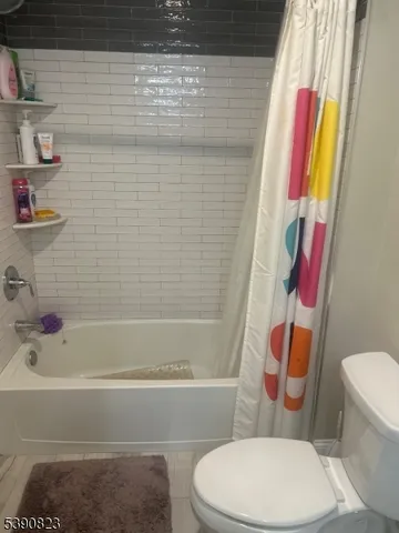 a bathroom with a toilet and a bathtub