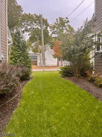 a view of a yard with plants and large trees