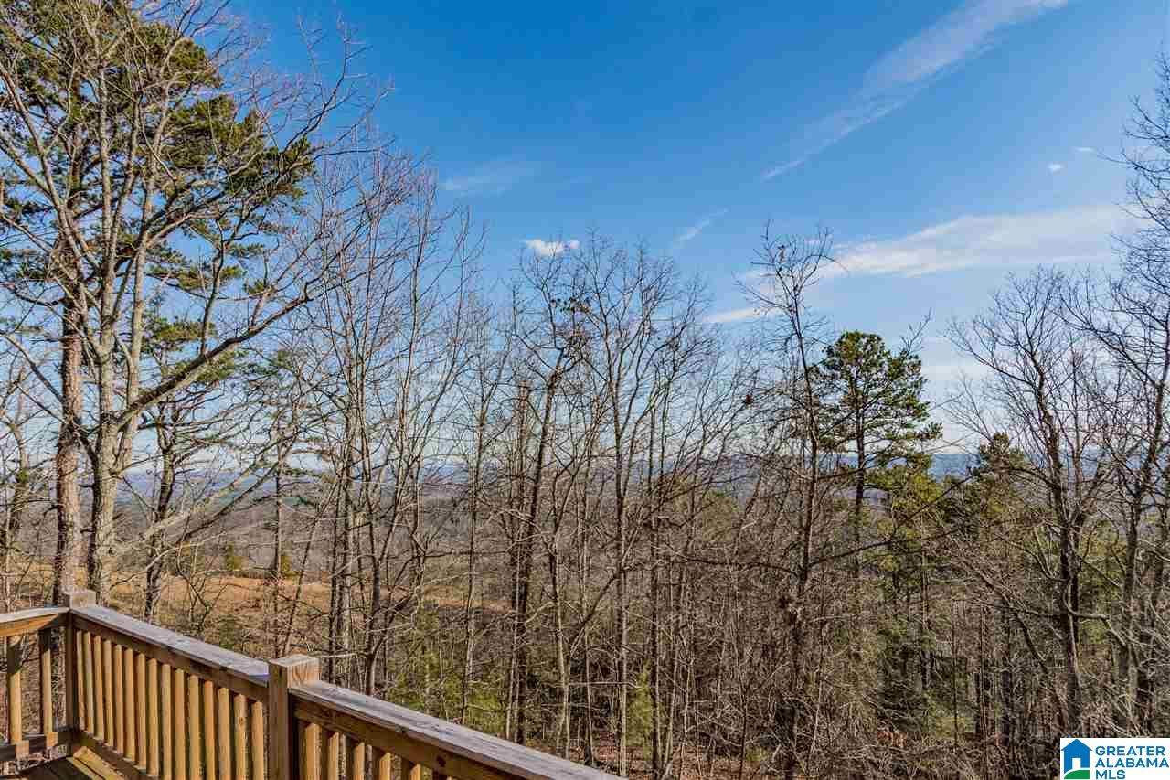 114 Scenic Peak Road Springville, AL 35146 - Photo 42 of 48