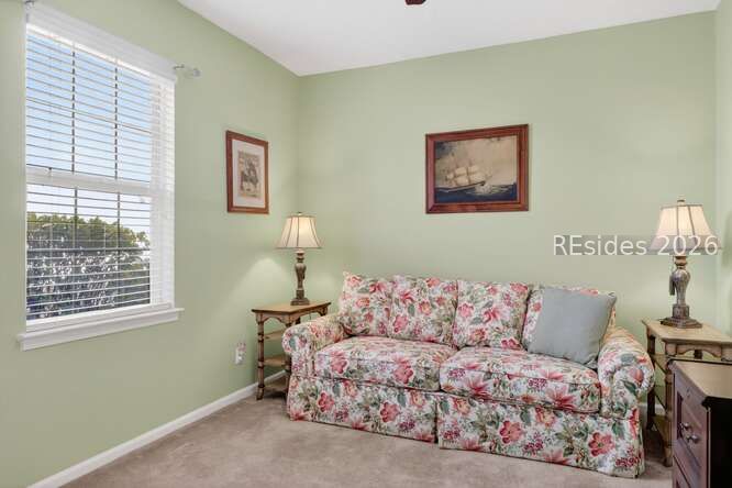 12 Apple Lane Bluffton, SC 29909 - Photo 14 of 43