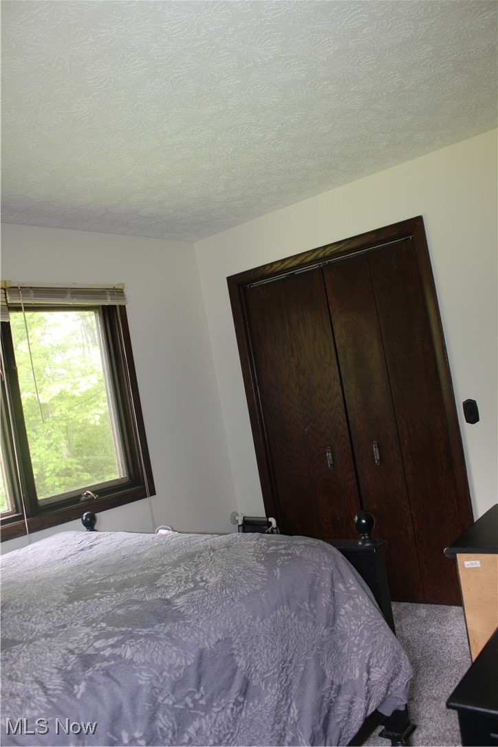 666 East Windsor Road Orwell, OH 44076 - Photo 14 of 33 Carpeted bedroom with a textured ceiling and a closet