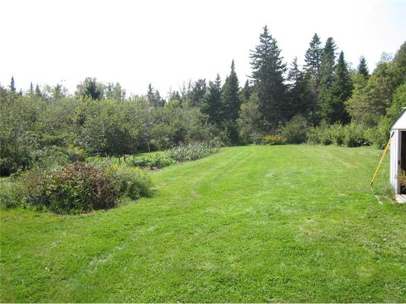 325 Gin Cove Road Perry, ME 04667 - Photo 54 of 56 Yard/Garden. Spacious 3 acres for...