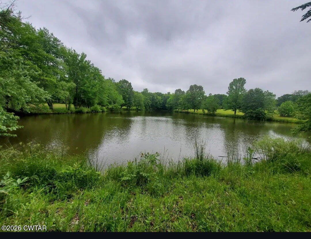 3431 Old Reagan Road Sardis, TN 38371 - Photo 9 of 25 5405