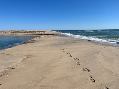2 Old Pocha Road Edgartown, MA 02539 - Photo 29 of 30 Crazy gorgeous beaches