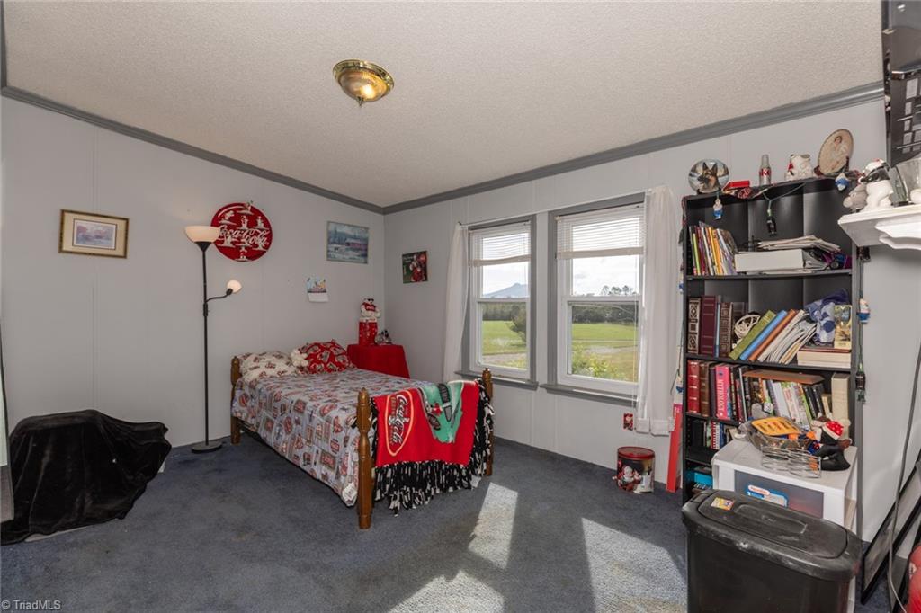 153 Chilton Road Ararat, NC 27007 - Photo 17 of 25 Gallery Image 17