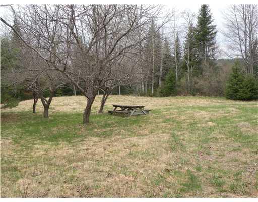 783 Waterford Road Norway, ME 04268 - Photo 4 of 11 Land/Lot.