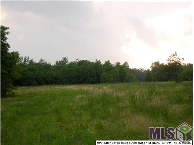 Lot C1 Riley Road Pride, LA 70770 - Photo 3 of 5 Gallery Image 3