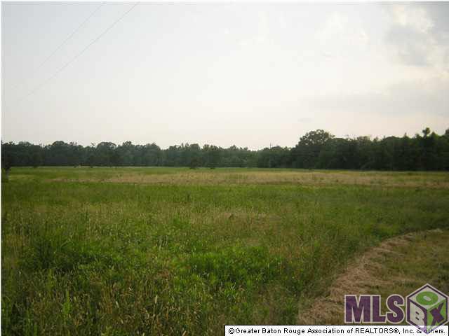 Lot C1 Riley Road Pride, LA 70770 - Photo 4 of 5 Gallery Image 4