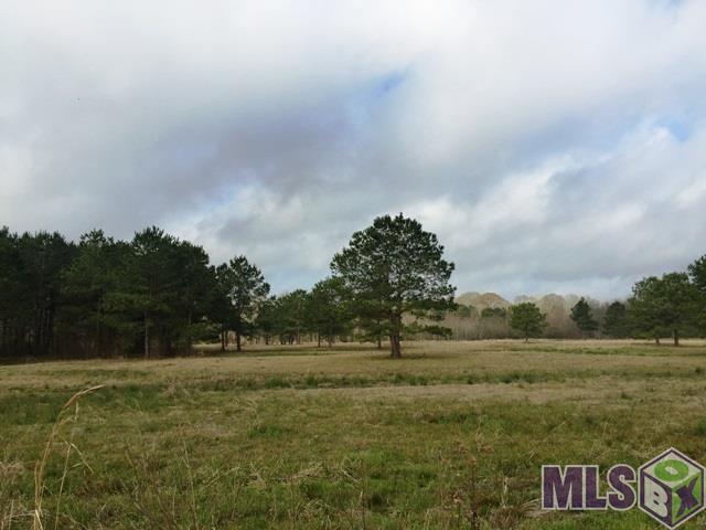 Lot C1 Riley Road Pride, LA 70770 - Photo 5 of 5 Gallery Image 5