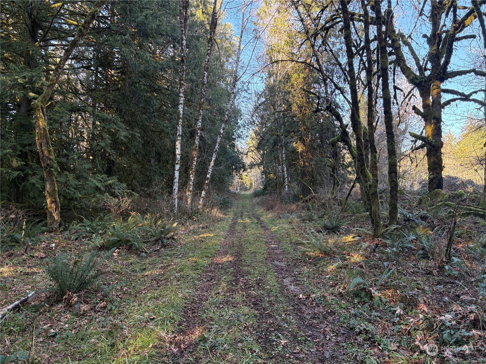 0 East Libby Road Shelton, WA 98584 - Photo 3 of 19 Gallery Image 3