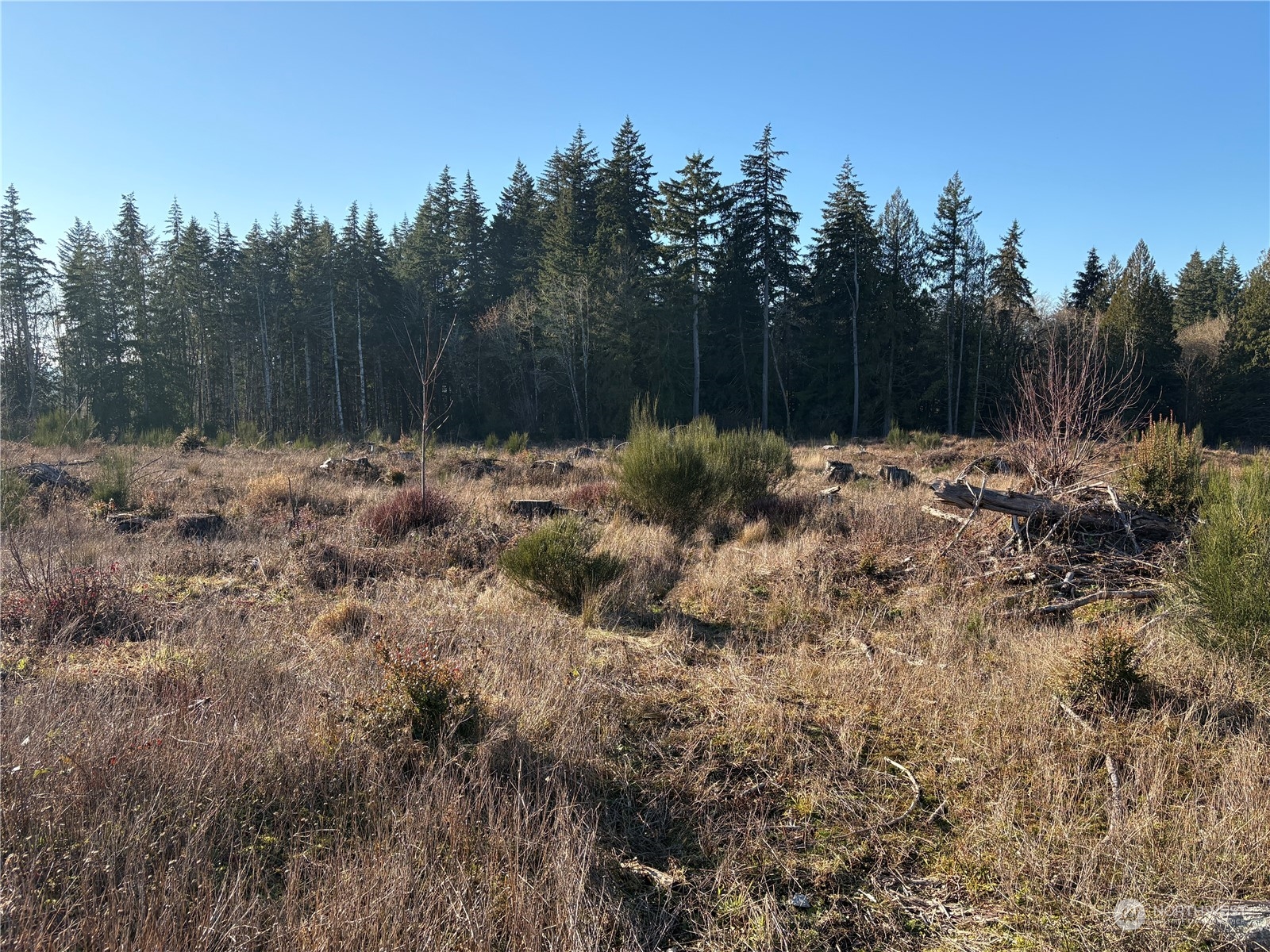 0 East Libby Road Shelton, WA 98584 - Photo 8 of 19 Gallery Image 8