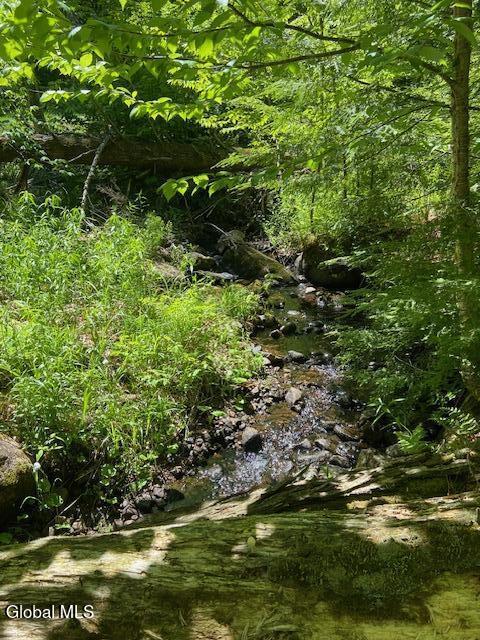 55 Fodder Road Stony Creek, NY 12878 - Photo 2 of 13 Fodder Brook