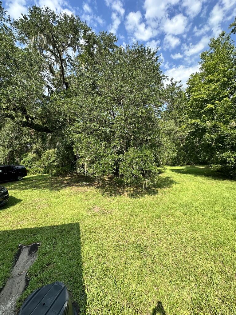 8438 County Line Road Adams Run, SC 29426 - Photo 38 of 50 58C501E7-7964-42C4-9FB0-F5A5904EA555_1_1