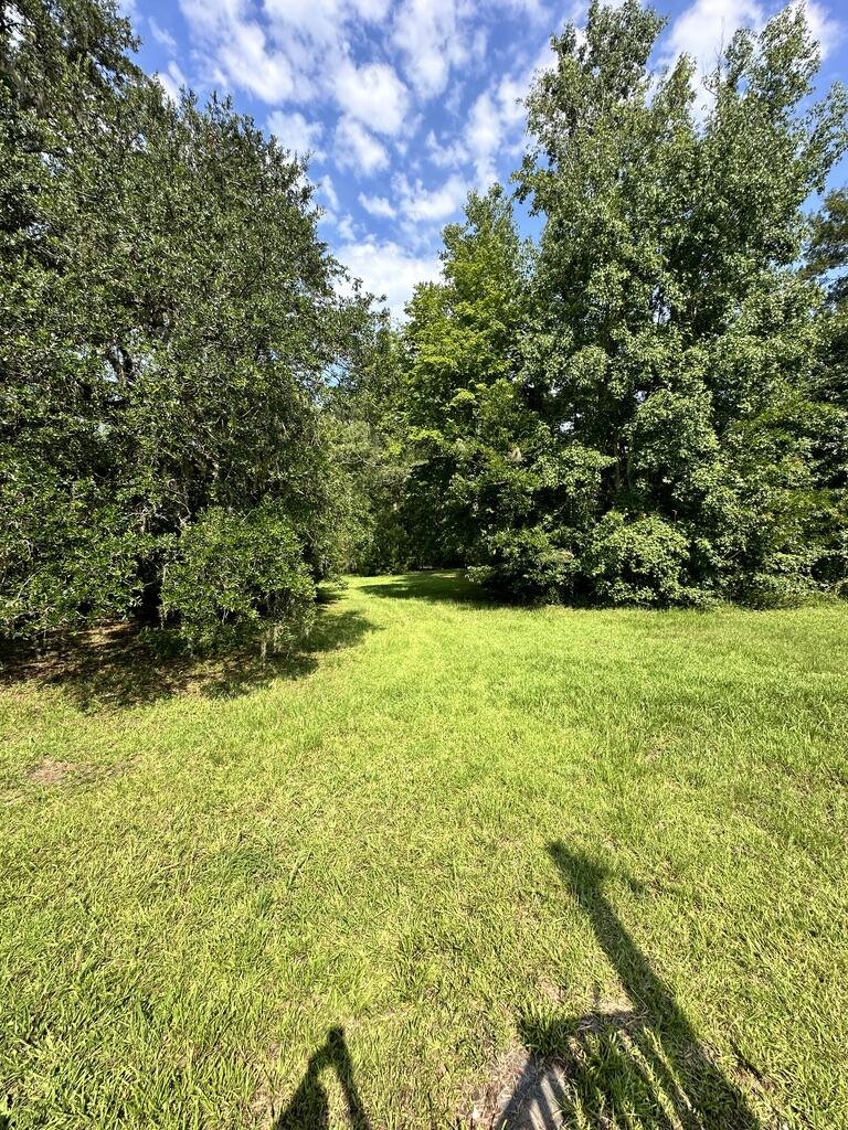 8438 County Line Road Adams Run, SC 29426 - Photo 39 of 50 264375DE-8936-4E64-AF38-C1734B9D9520_1_1