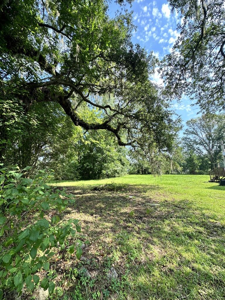 8438 County Line Road Adams Run, SC 29426 - Photo 43 of 50 969006AC-2330-4803-8FEF-A9B7C7DF3DA6_1_1