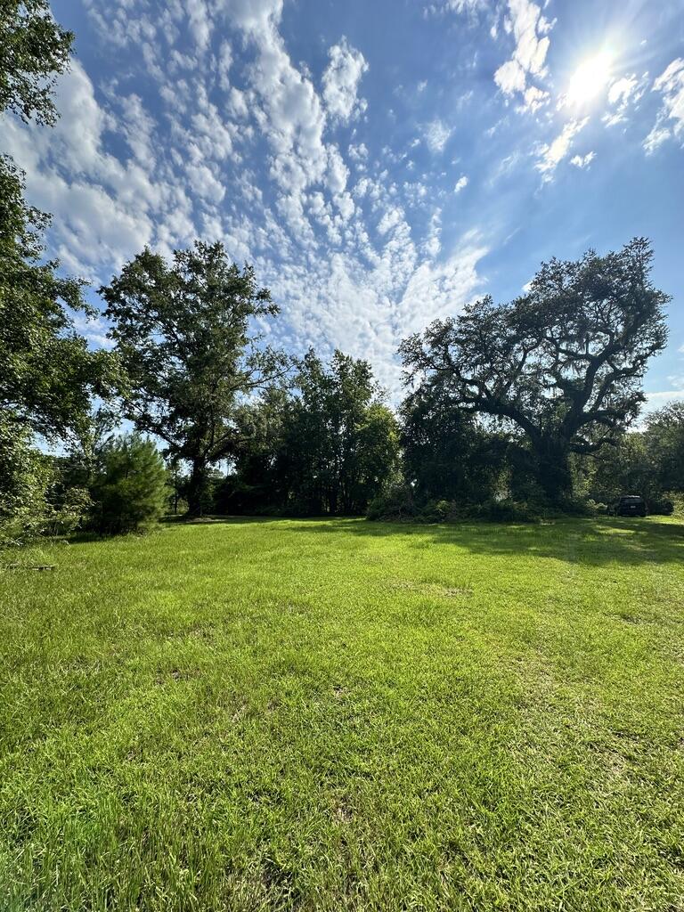 8438 County Line Road Adams Run, SC 29426 - Photo 45 of 50 AB6D6051-602A-4E32-94A6-629F774DAE0A_1_1