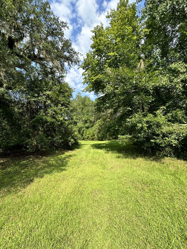 8438 County Line Road Adams Run, SC 29426 - Photo 50 of 50 5343B3A7-9191-49E2-858F-8509855F7681_1_1