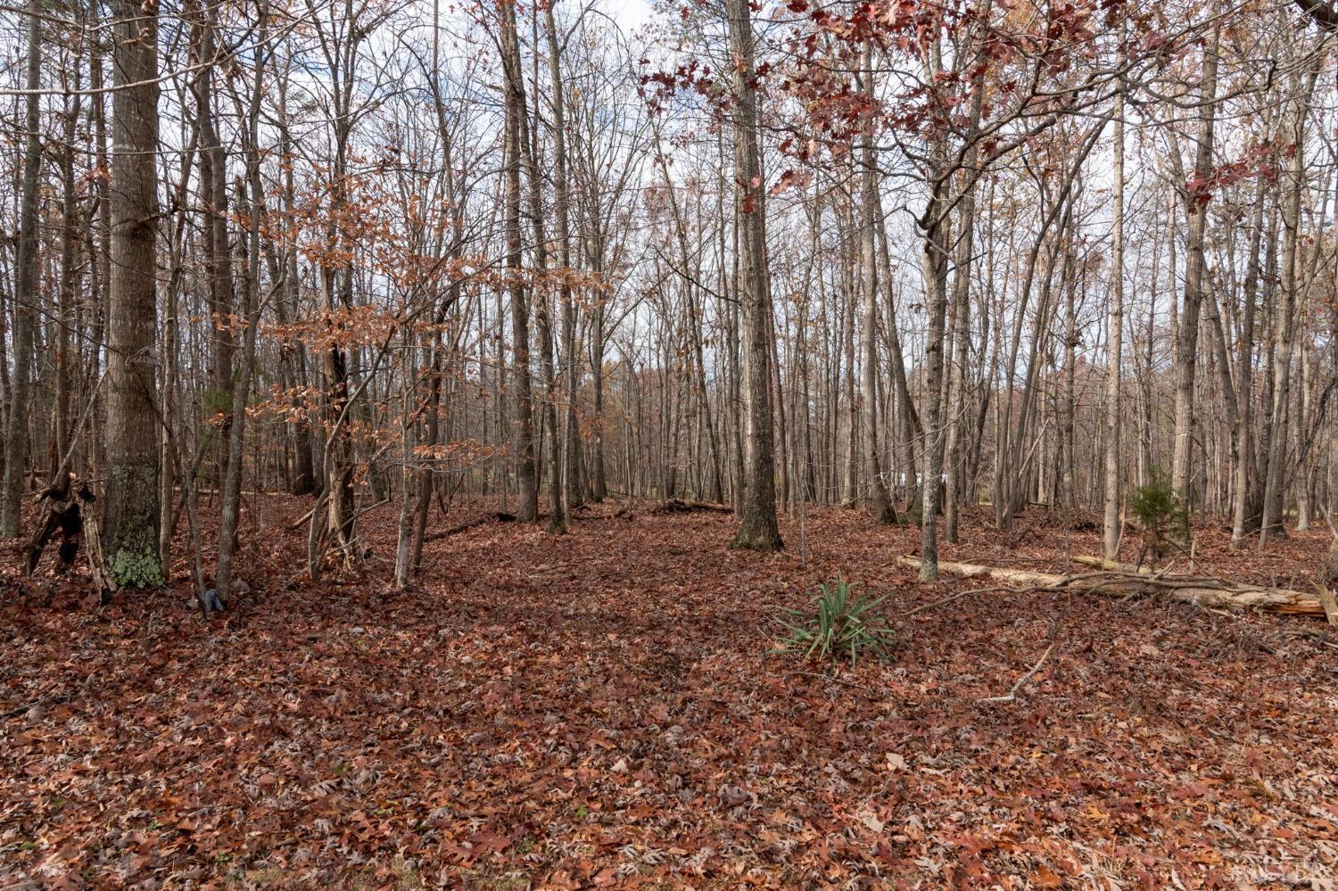 17300 Leesville Road Evington, VA 24550 - Photo 43 of 48 Gallery Image 43
